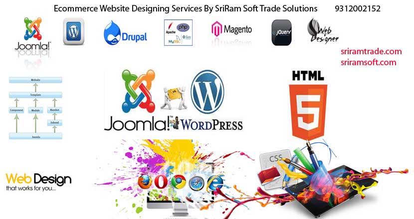 eCommerce website designing in Delhi 